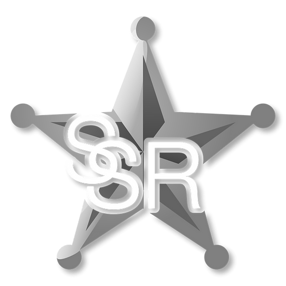 Silver Star Logo